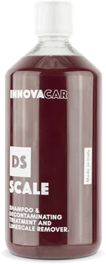 DS Scale